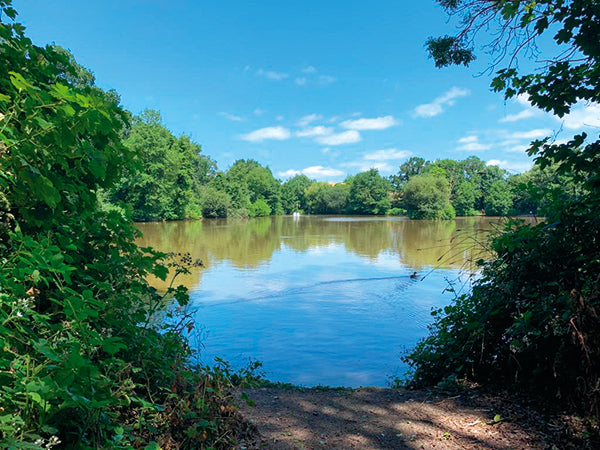 Summer Singles Social - Creedy Lakes June 2026