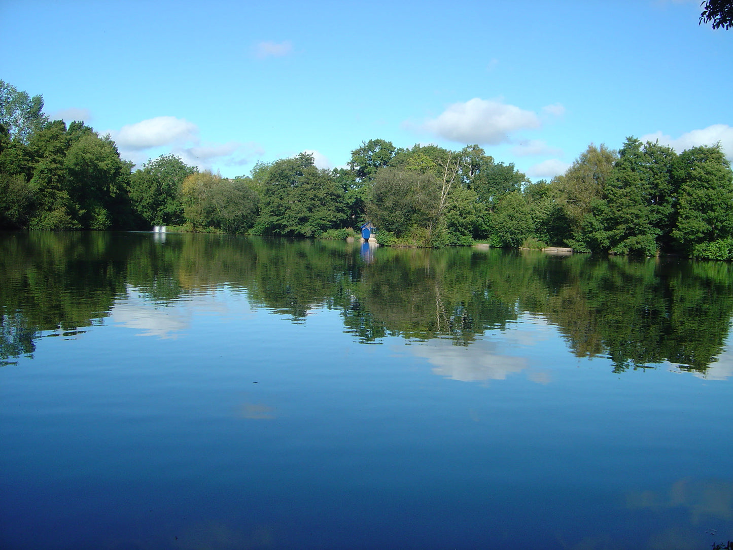 Summer Singles Social - Creedy Lakes June 2026